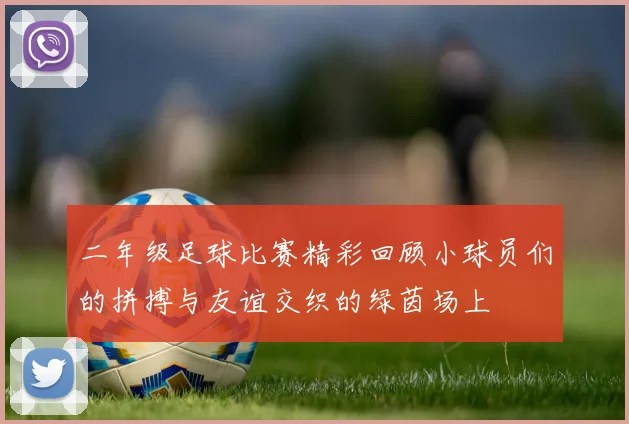 二年级足球比赛精彩回顾小球员们的拼搏与友谊交织的绿茵场上