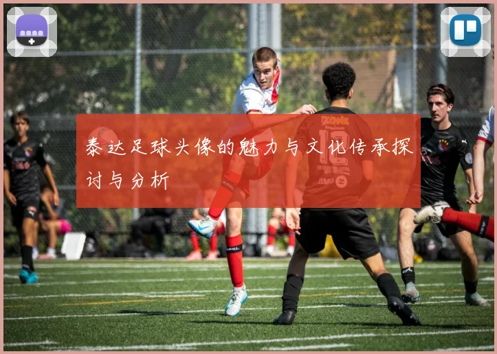 泰达足球头像的魅力与文化传承探讨与分析